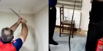 Lojmanda yılan şoku! Klima borusundan geçip gizlenmiş