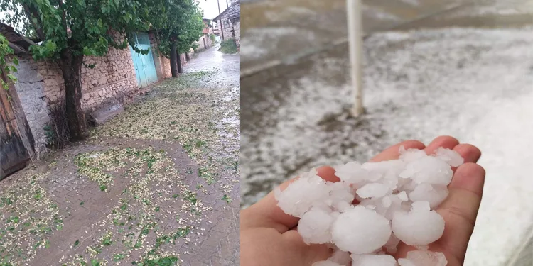 Bursa’da ceviz büyüklüğünde dolu ekinlere zarar verdi