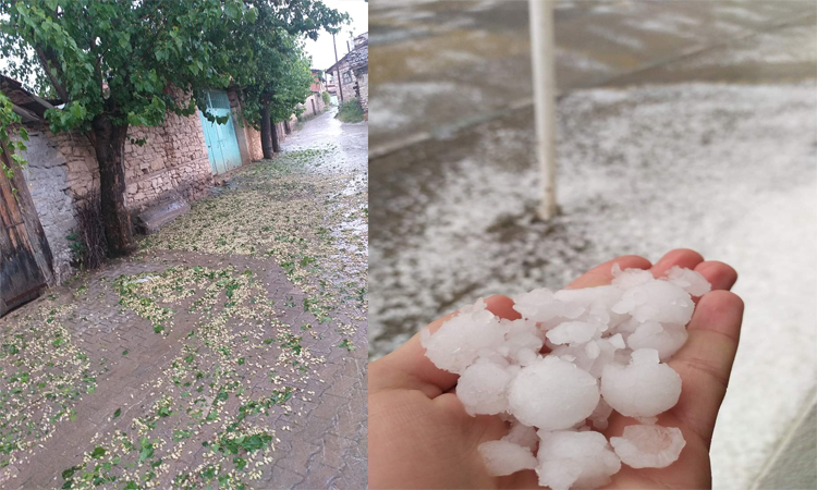 Bursa'da ceviz büyüklüğünde dolu ekinlere zarar verdi