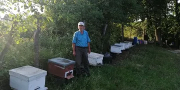 Bursalı üreticinin hasat etmeye hazırlandığı balı ayılar yedi̇