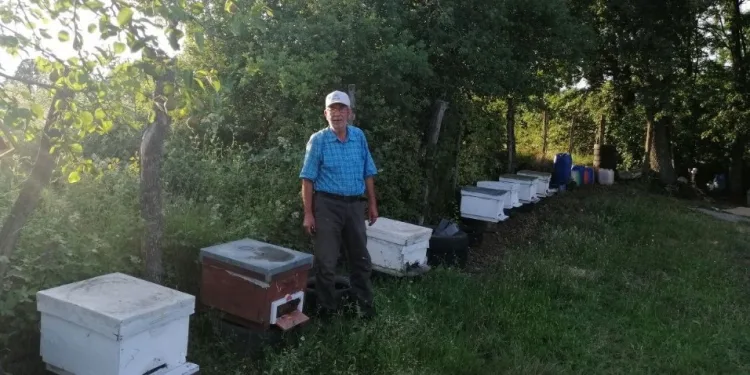 Bursalı üreticinin hasat etmeye hazırlandığı balı ayılar yedi̇