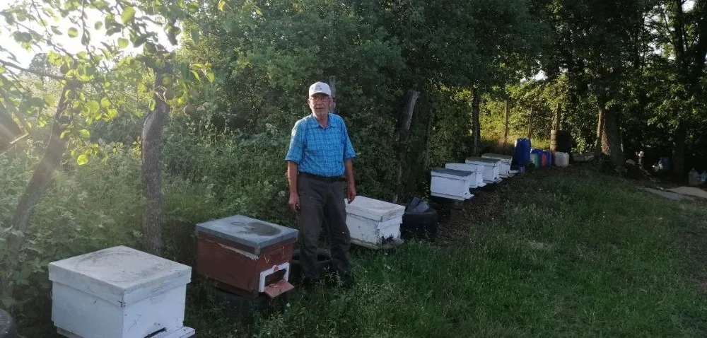 Bursalı üreticinin hasat etmeye hazırlandığı balı ayılar yedi̇
