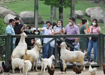 Bursa hayvanat bahçesinde hafta sonu yoğunluğu