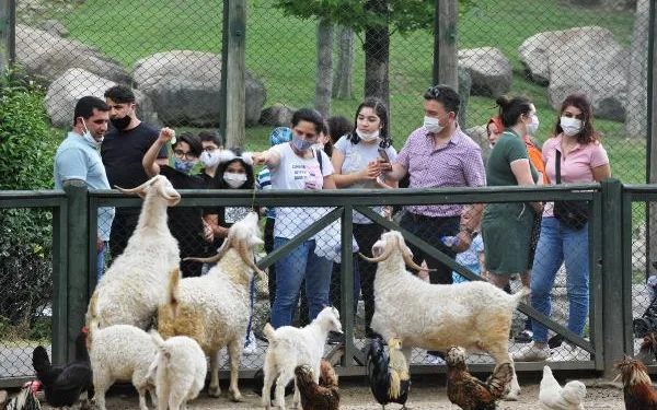 Bursa hayvanat bahçesinde hafta sonu yoğunluğu