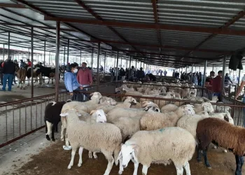 Her Türlü Önlem Ve Uyarıya Rağmen Sosyal Mesafeyi̇ Aldırış Eden Olmadı
