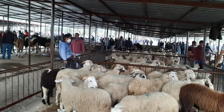 Her Türlü Önlem Ve Uyarıya Rağmen Sosyal Mesafeyi̇ Aldırış Eden Olmadı
