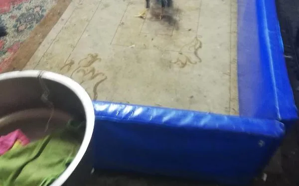 Horoz dövüştüren 38 kişiye 46 bin lira para cezası 
