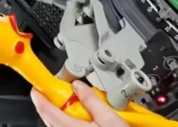 Uçağın gaz kolunu oyuncak tavukla çalıştıran pilotlara soruşturma