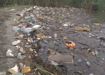 Bursa’da şiddetli yağış İznik Gölü’nü çöplüğe çevirdi