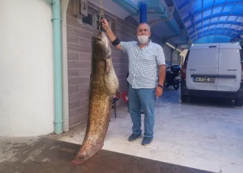 İznik Gölü’nde 2 metrelik yayın balığı yakalandı