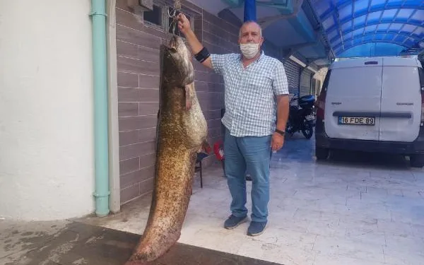 İznik Gölü’nde 2 metrelik yayın balığı yakaladı