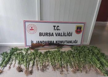 İnegöl Jandarması’ndan uyuşturucu baskını