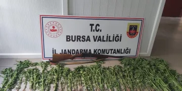 İnegöl Jandarması’ndan uyuşturucu baskını