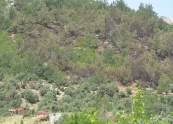 Bursa’da ormanlık alanda 250 bin liralık ziynet eşyası bulundu