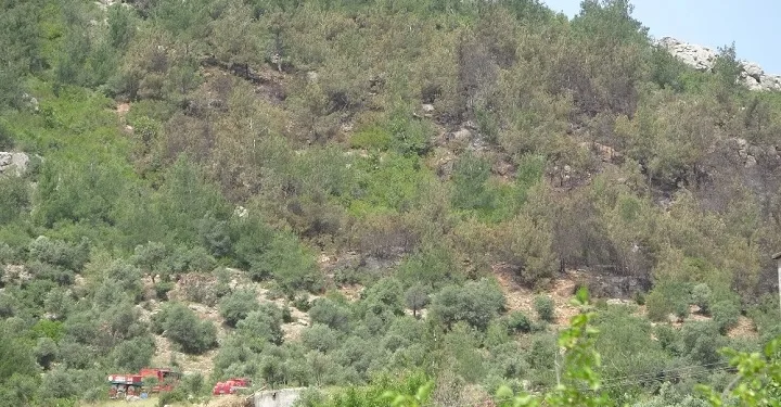 Bursa’da ormanlık alanda 250 bin liralık ziynet eşyası bulundu