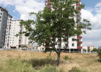 Kayseri̇’de dehşete düşüren manzara… Boş arazide bulundu