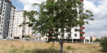 Kayseri̇’de dehşete düşüren manzara… Boş arazide bulundu