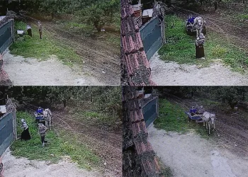 Bursa’da hırsızlar kazanları böyle çaldılar