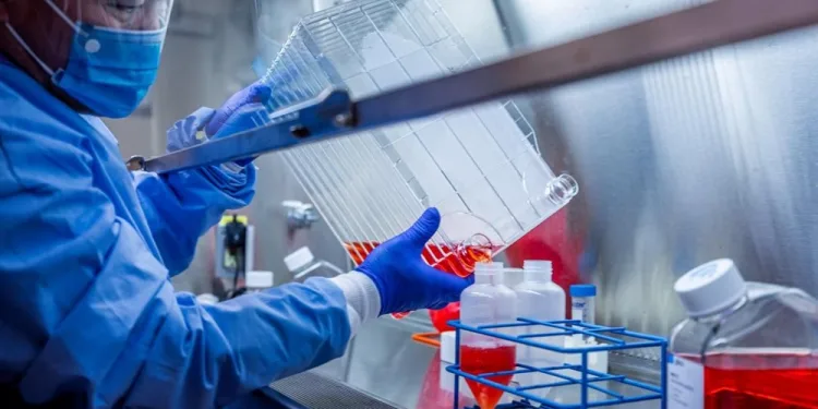 Koronavirüste ikinci dalga ihtimali en yüksek 10 ülke