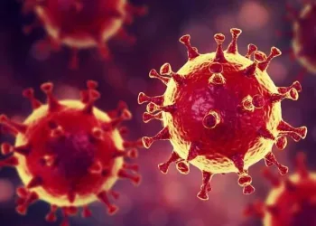Koronavirüs hakkında çıkan haber sayısı 21 milyonu aştı