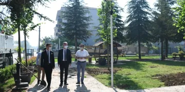 Turgutalp Koruluğu’nda kuruyan 33 ağaç yenileniyor