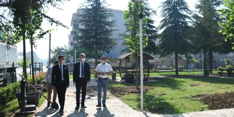 Turgutalp Koruluğu’nda kuruyan 33 ağaç yenileniyor