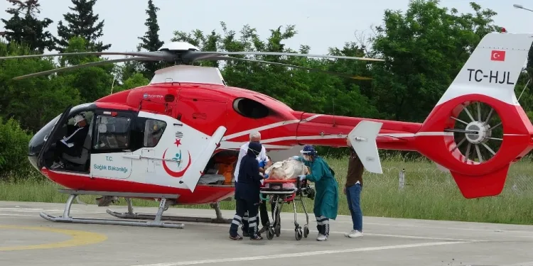 Koyunlarına saldıran kurtlara ateş ederken kendini vurdu