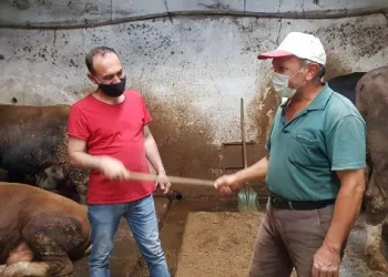 Bursa’da değnekli kurban pazarlığı