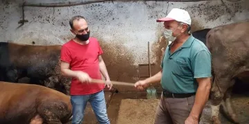 Bursa’da değnekli kurban pazarlığı