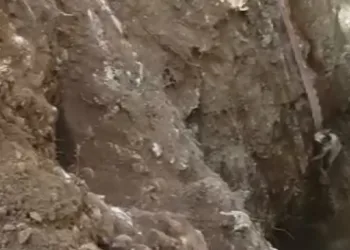 Kuyuya Düşen Kedi̇ Branda İle Kurtarıldı