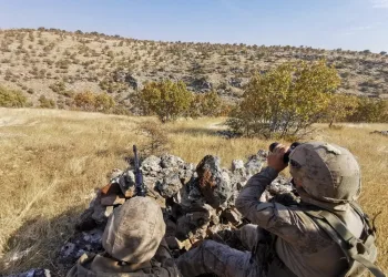 Mardi̇nde Terör Örgütü Pkk Ve İşbi̇rli̇kçi̇leri̇ne Şafak Vakti̇ Operasyon