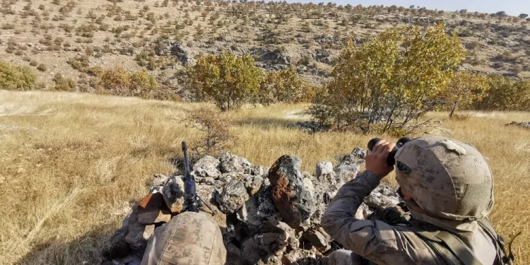 Mardi̇nde Terör Örgütü Pkk Ve İşbi̇rli̇kçi̇leri̇ne Şafak Vakti̇ Operasyon