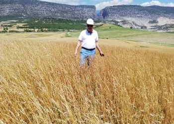 Meti̇n: “Karai̇salı Afet Bölgesi̇ İlan Edi̇lmeli̇”