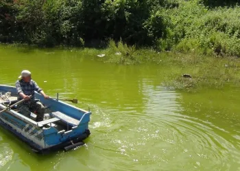 Bursa’da mezarlık ziyaretini sandalla yapıyorlar…