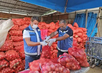 Mudanya Beledi̇yesi̇ sofralara soğan taşıyor