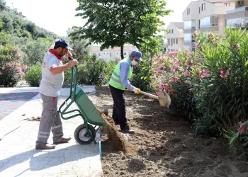 Mudanya’da yaz temi̇zli̇ği̇ devam edi̇yor