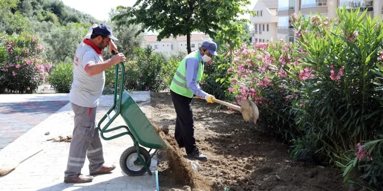 Mudanya’da yaz temi̇zli̇ği̇ devam edi̇yor