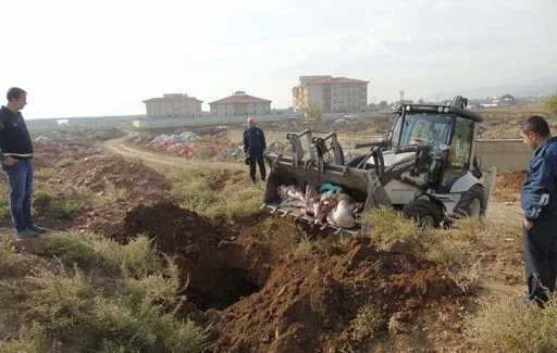 Halk sağlığıyla oynarken suç üstü yakalandı