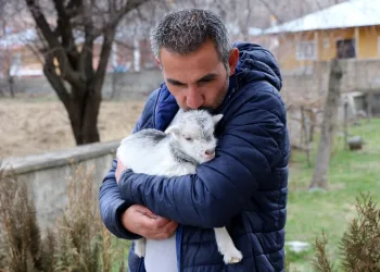 O Oğlak Büyüdü