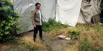Öldürülüp, bacakları kesilen kediyle ilgili soruşturma