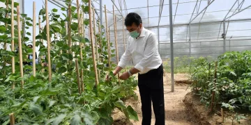 Osmangazi̇’den ‘Mi̇lli̇ Tarım’ hamlesi̇
