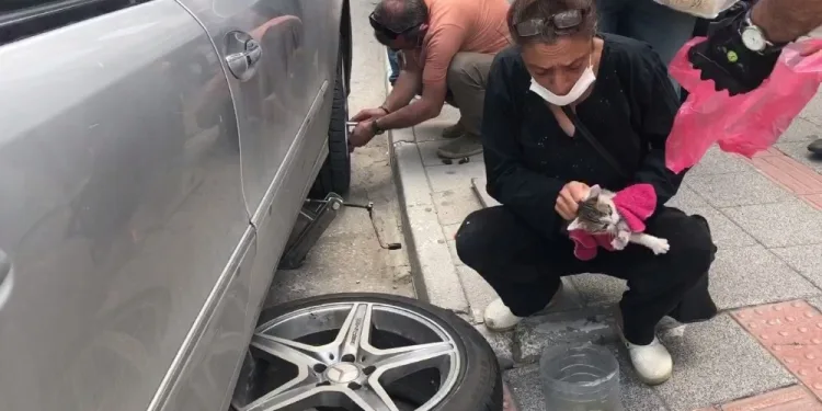 Bursa’da otomobi̇le sıkışan kedi̇ lasti̇k sökülerek çıkartıldı