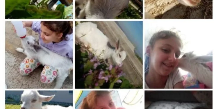 Apartmanda kedi köpeklerin yerini keçiler aldı