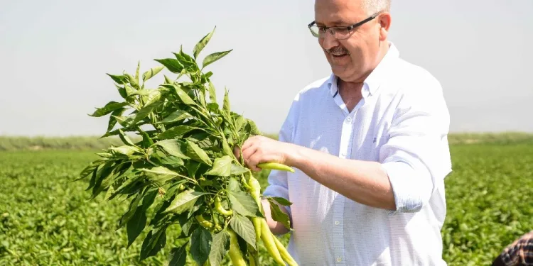 Pandemi süreci Karacabey’e ilgiyi artırdı