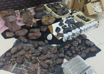 11 milyon lira değerinde balina kusmuğu ele geçirildi