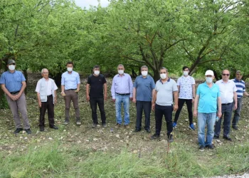 CHP’li Sarıbal: “Bursa üreticisi sahipsiz bırakılmamalı”