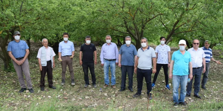 CHP’li Sarıbal: “Bursa üreticisi sahipsiz bırakılmamalı”