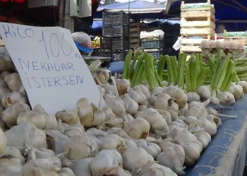 Bursa’da sarımsağın fiyatı etiketi yakıyor!