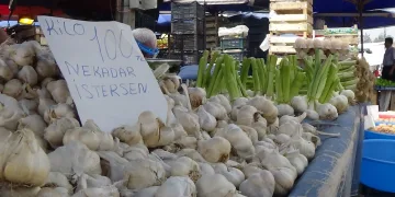 Bursa’da sarımsağın fiyatı etiketi yakıyor!