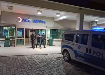 Şuhutta Hayvan Hırsızları Yi̇ne Türedi̇